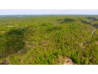 Property photo 8 - LAND AUCTION - 1,682+/- ACRES OFFERED IN 17 TRACTS IN LEWIS & GREENUP COUNTIES, KENTUCKY
